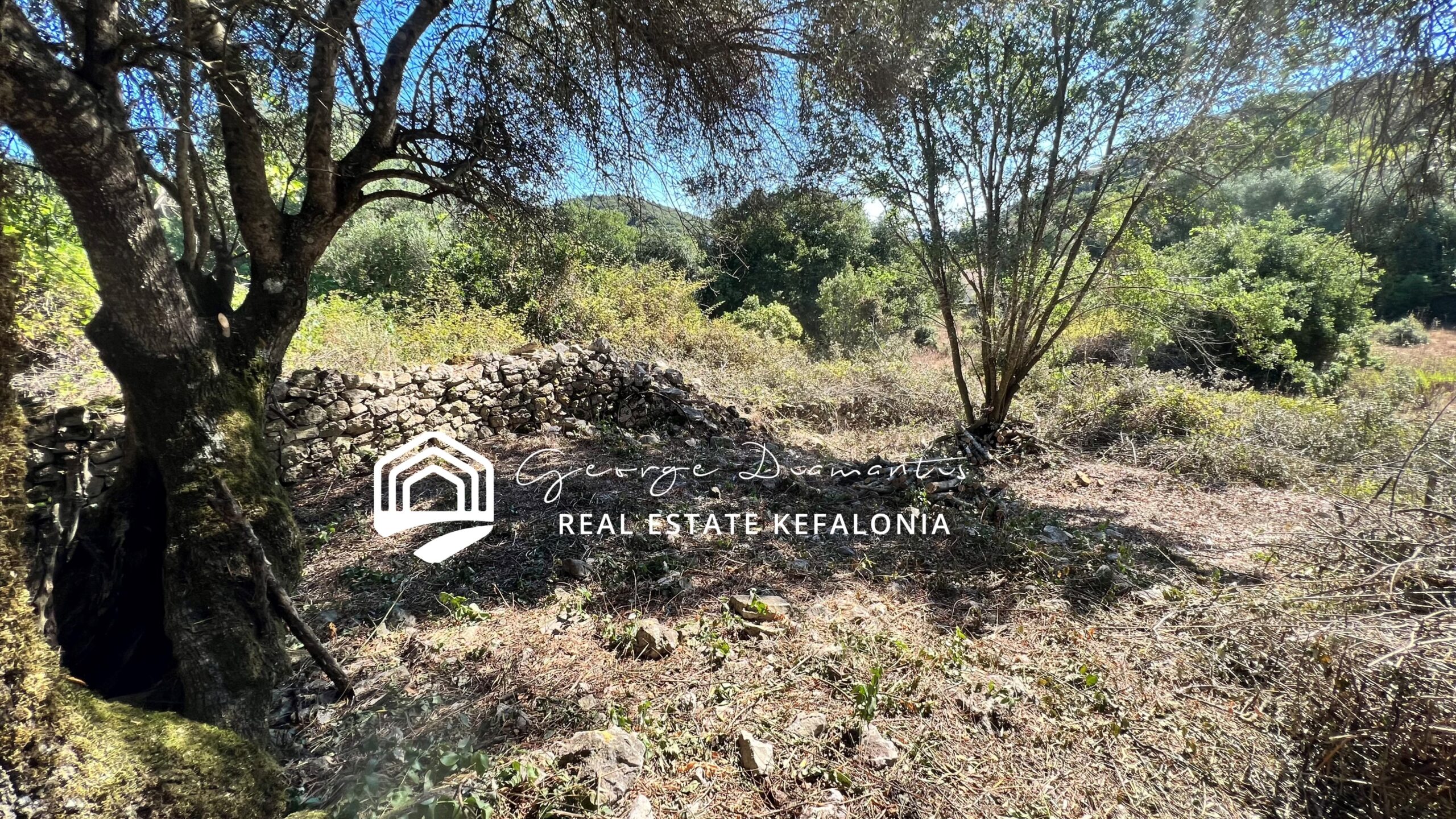 Land For Sale In Psilithria, Erissou.